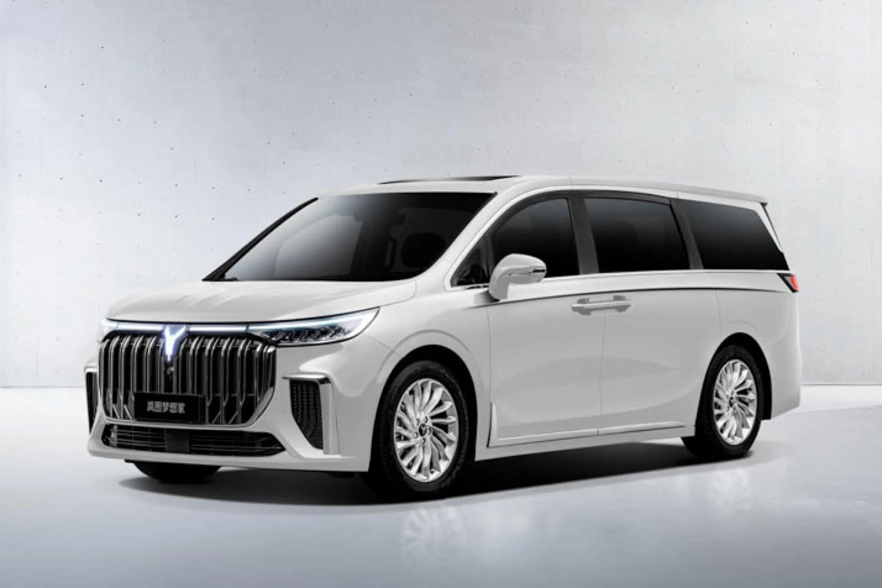 岚图 梦想家 - 2